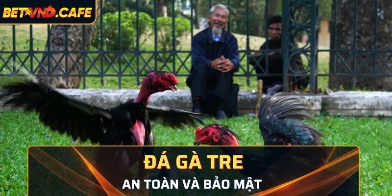 An toàn và bảo mật 