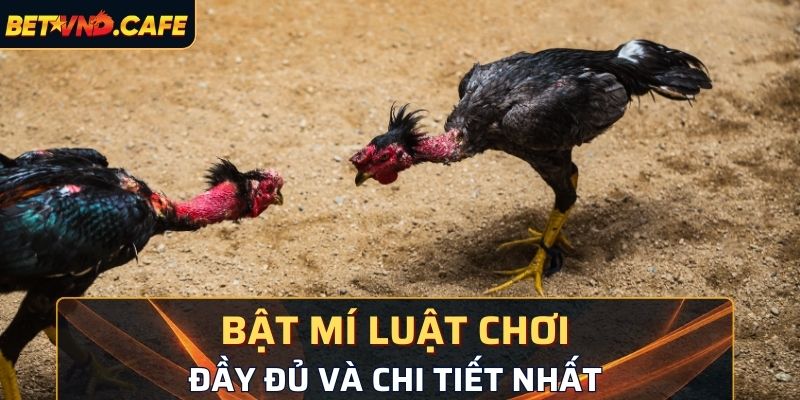 Bật mí luật chơi đầy đủ và chi tiết nhất 