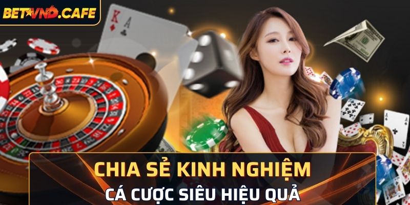 Chia sẻ kinh nghiệm, kiến thức cá cược siêu hiệu quả