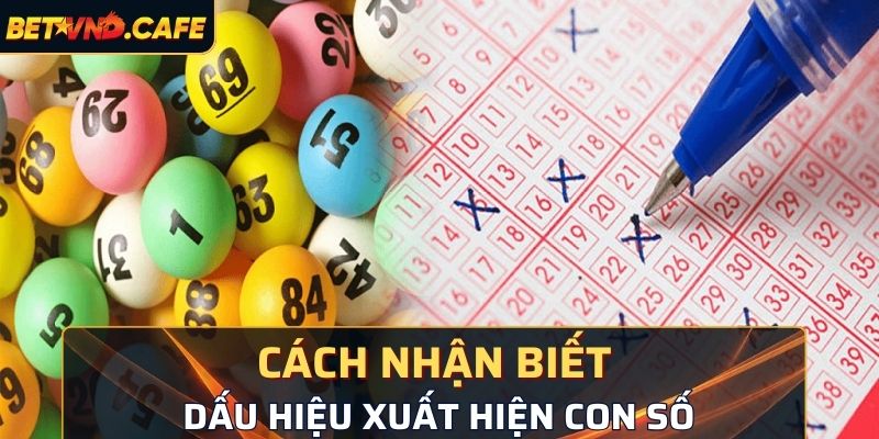 Cách để nhận biết dấu hiệu xuất hiện con số hiệu quả