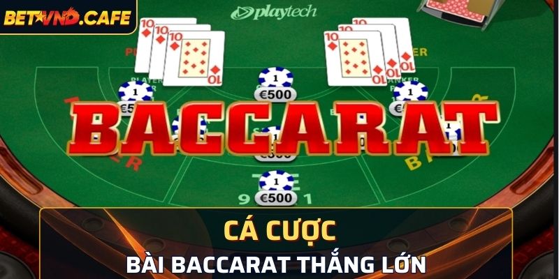 Tham gia cá cược game bài đổi thưởng Baccarat thắng lớn