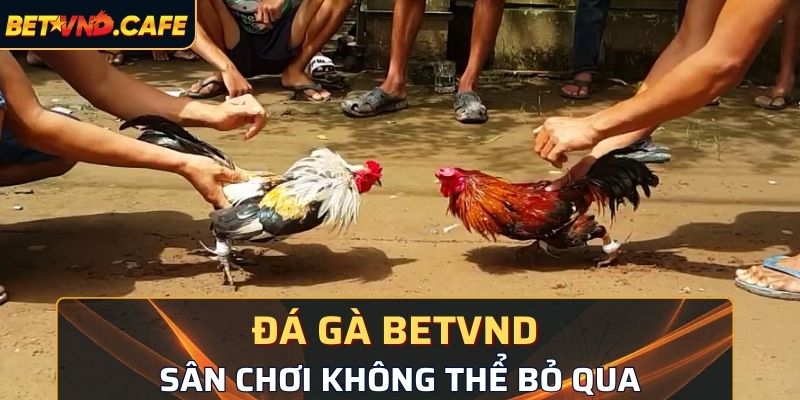 Sảnh game cực hấp dẫn khiến bạn không thể bỏ lỡ