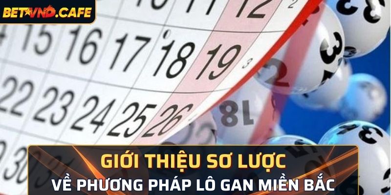 Giới thiệu sơ lược về phương pháp lô gan miền Bắc 