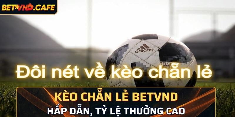 Kèo chẵn lẻ BetVND hấp dẫn, tỷ lệ thưởng cao