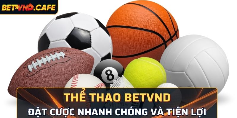 Nhà cung cấp nền tảng cá cược thể thao uy tín số 1 Việt Nam 